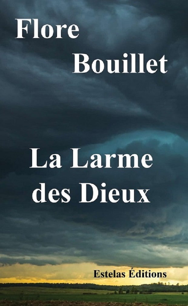 La Larme des Dieux, de Flore Bouillet (suspense, enquête)